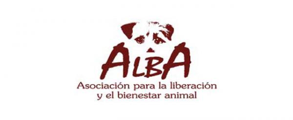Gdzie mogę adoptować psa w Madrycie - ALBA Association for Animal Liberation and Welfare
