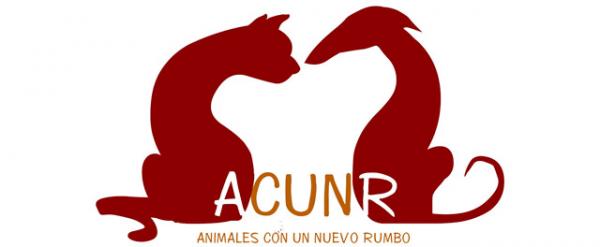 Gdzie mogę adoptować psa w Madrycie - ACUNR (El Olivar).  Zwierzęta o nowym kierunku