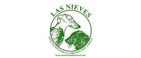 Gdzie mogę adoptować psa w Madrycie - Stowarzyszenie Las Nieves