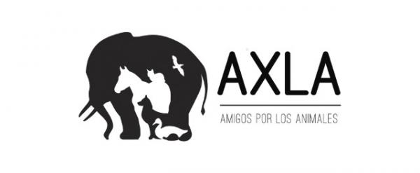 Gdzie mogę adoptować psa w Madrycie - AXLA.  Przyjaciele dla zwierząt