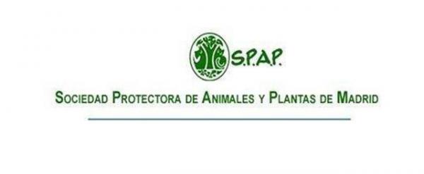 Gdzie mogę adoptować psa w Madrycie - SPAP Sociedad Protectora de Animales y Plantas