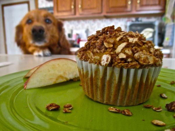 4 przepisy na babeczki dla psów - jabłkowe babeczki owsiane dla psów