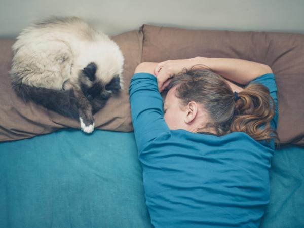 10 oznak, że Twój kot Cię kocha – jeśli Twój kot śpi z Tobą