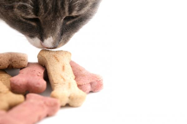 Wskazówki dotyczące podawania kotu pigułki — ukryj pigułkę w jego jedzeniu