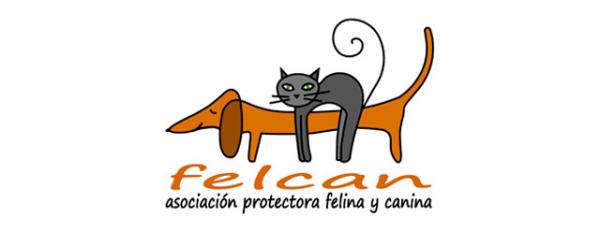Gdzie mogę adoptować psa w Walencji - FELCAN