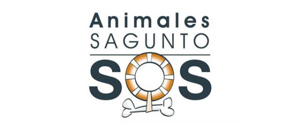 Gdzie mogę adoptować psa w Walencji - Animals Sagunto SOS.
