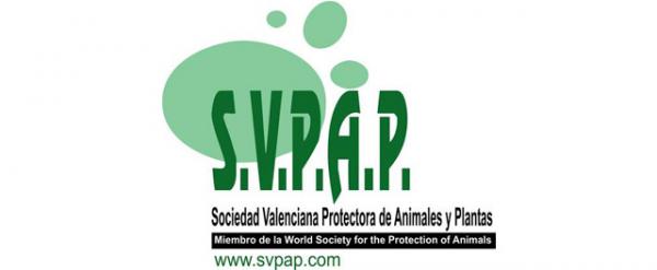 Gdzie mogę adoptować psa w Walencji - SVPAP Walenckie Towarzystwo Ochrony Zwierząt i Roślin 
