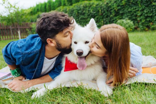 Czy psy lubią buziaki?  - Dlaczego całujemy psy?