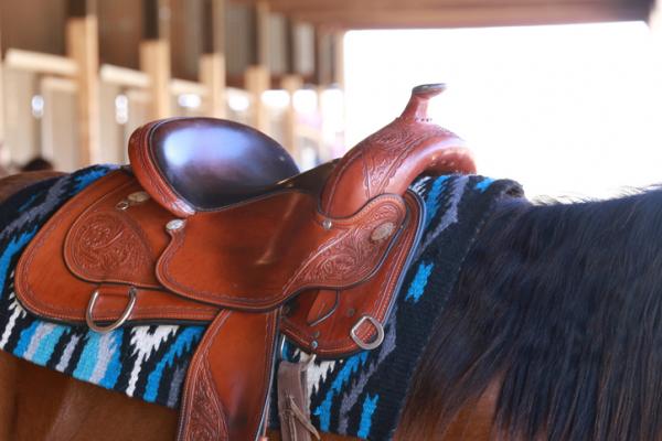 Rodzaje siodeł dla koni - Siodło kowbojskie i kowbojskie dla koni