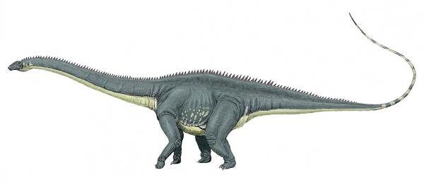 Dinozaury z długą szyją - Charakterystyka i przykłady - Diplodok