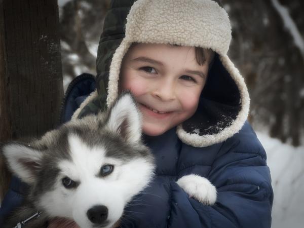 Zalety posiadania husky syberyjskiego - 5. Husky mogą być doskonałymi towarzyszami dla dzieci 