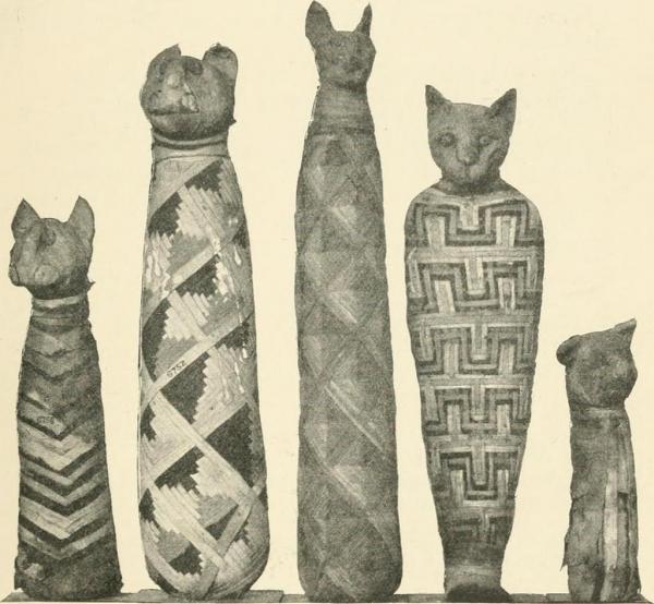 Egipskie imiona dla kotów - egipskie imiona dla samców kotów
