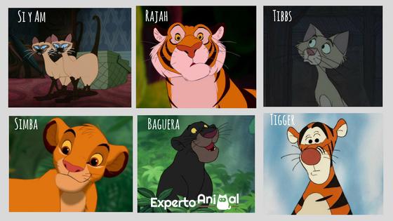 Disneyowskie imiona dla kotów - słynne imiona Disneya