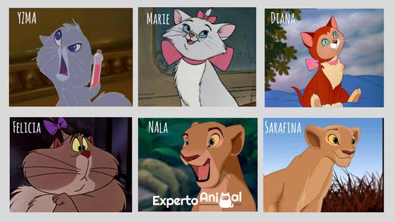 Disneyowskie imiona postaci dla kotów - Disney Kitten Imiona