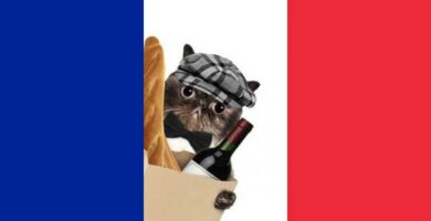 Francuskie imiona dla kotow