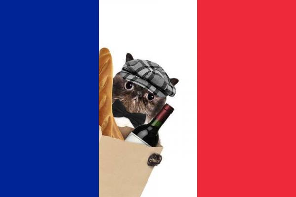 Francuskie imiona dla kotow