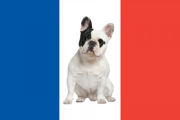 Francuskie rasy psow