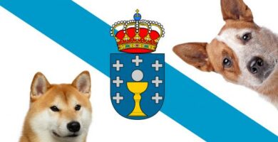 Imiona dla psow w jezyku galicyjskim
