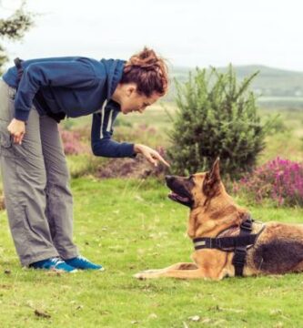 Inicjacja do szkolenia psow