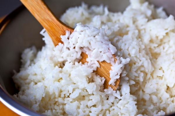 Jak przygotowac ryz dla psow