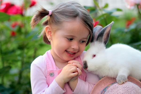 Zalety i wady posiadania królika jako zwierzaka - Czynniki na korzyść: bardzo przyjemny i posłuszny