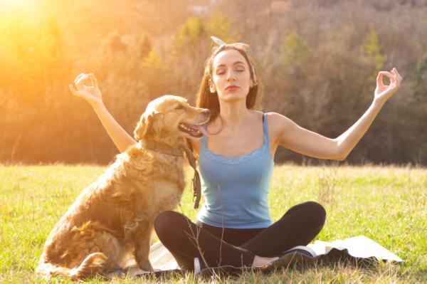 10 oznak stresu u Twojego psa – jak pomóc zestresowanemu psu