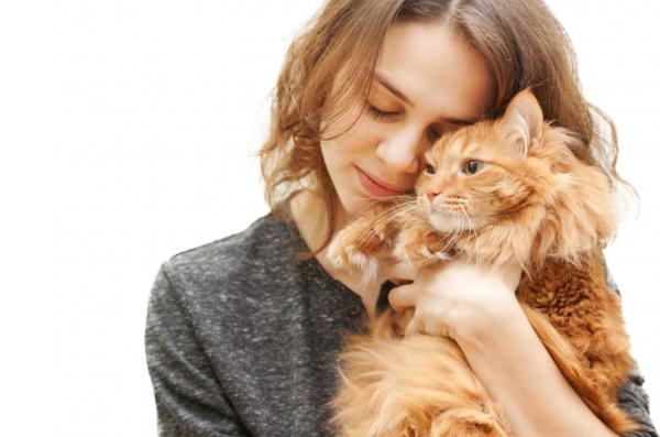 5 rzeczy, które powinieneś wiedzieć przed adopcją kota - 5. Kot zmieni Twoje życie