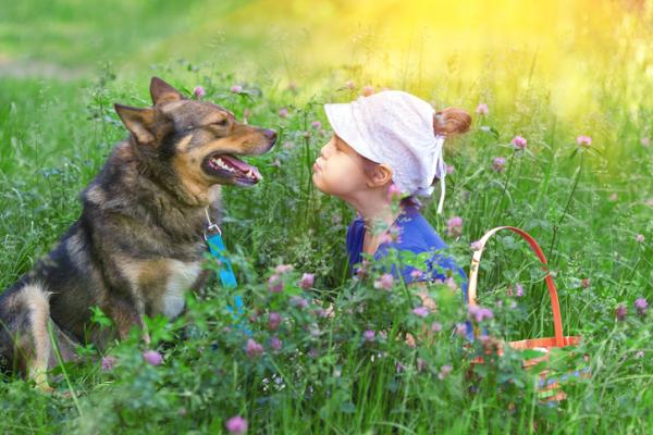 Dlaczego psy częściej atakują dzieci?  - Błędy w komunikacji