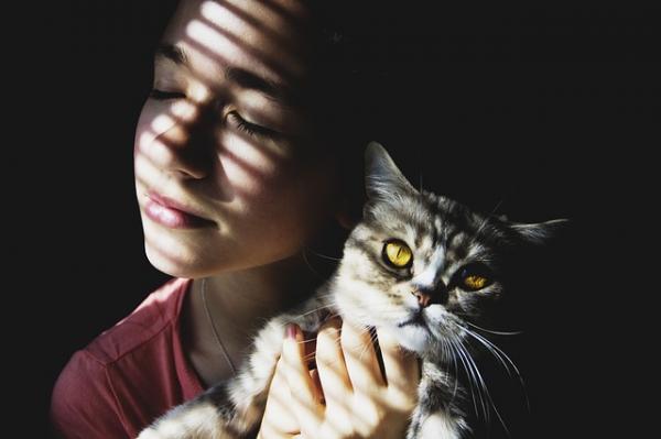 Wskazówki, jak sprawić, by kot był bardziej towarzyski — czas na zabawę 