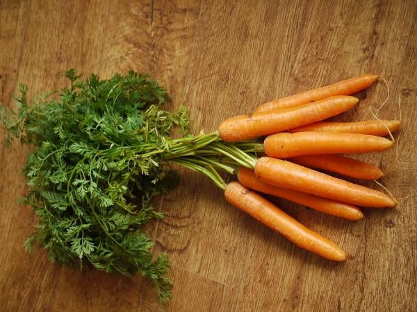 Zalecane owoce i warzywa dla królików - Warzywa do codziennego spożycia