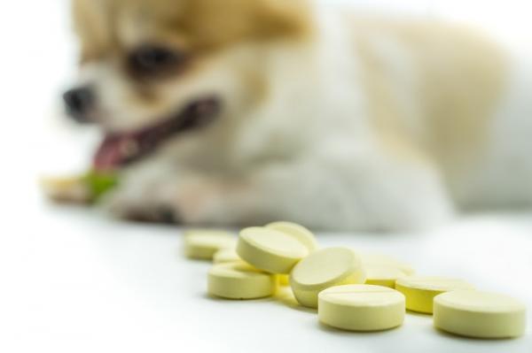 Probiotyki dla psow