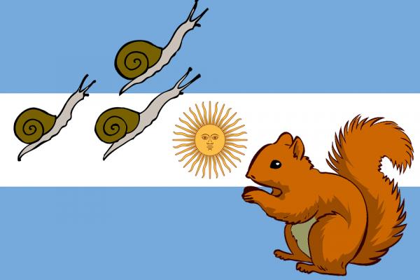 12 gatunkow inwazyjnych w Argentynie i ich konsekwencje