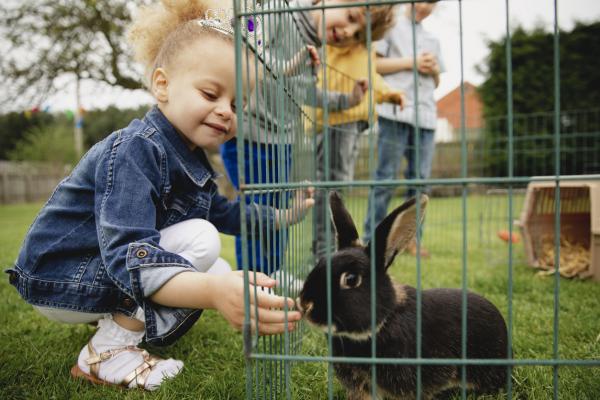 Jak zrobić domową klatkę dla królika? -Domowy kojec lub klatka dla królika: środki ostrożności