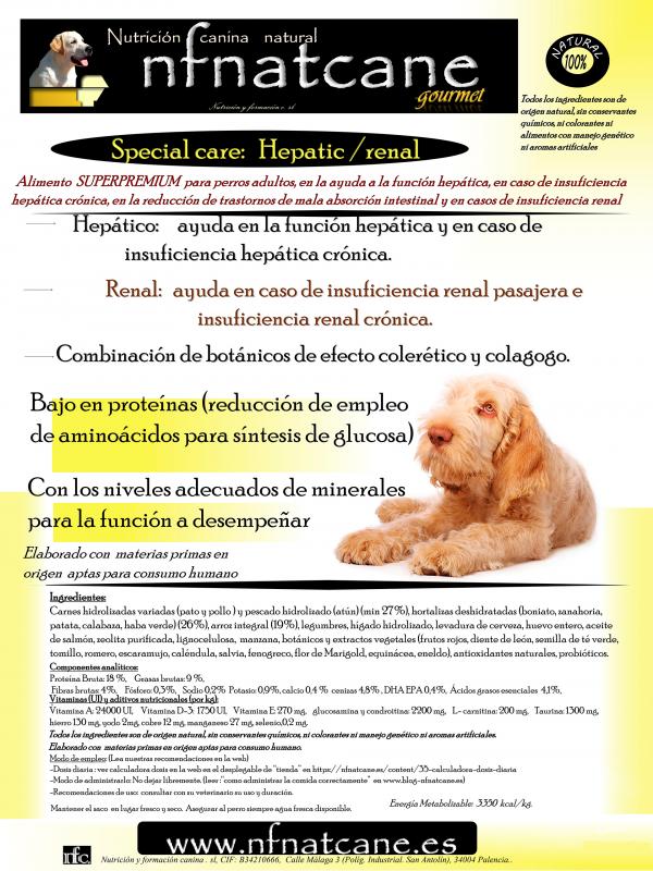 Niewydolność wątroby u psów - objawy i leczenie - leczenie niewydolności wątroby u psów