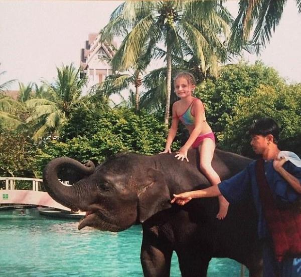 10 zwierząt, które uratowały ludzkie życie - 5. Słoń tajski