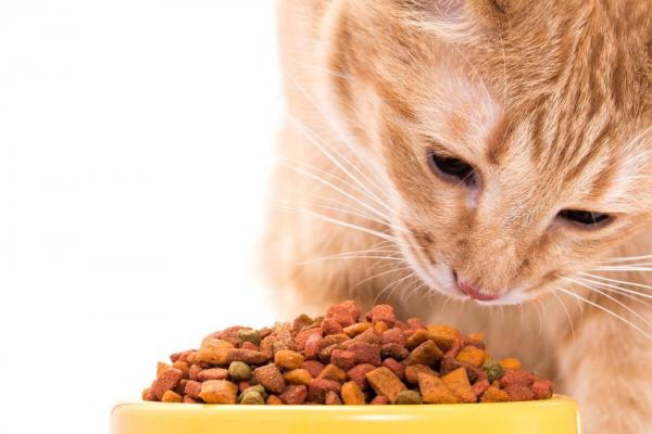 Dlaczego koty zakrywają jedzenie?  - Umieść przedmioty, aby przykryć jedzenie, ponieważ ...