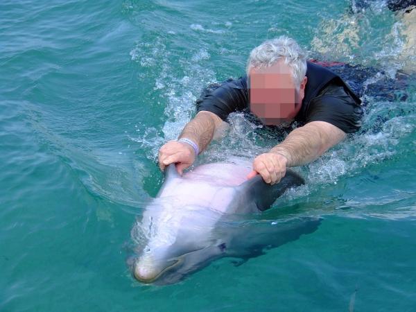 10 ciekawostek o delfinach - 10. Skutki niewoli na delfiny