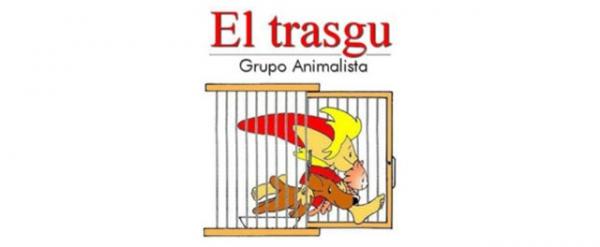 Gdzie mogę adoptować psa w Asturii - El Trasgu Asociación Protectora de Animales