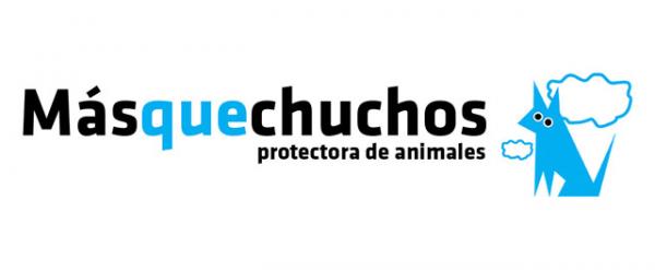 Gdzie mogę adoptować psa w Asturii - MásqueChuchos