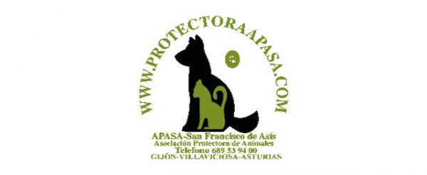 Gdzie mogę adoptować psa w Asturii - APASA.  Stowarzyszenie Ochrony Zwierząt San Francisco de Asís 