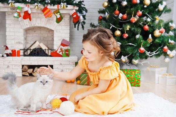 10 bardzo oryginalnych świątecznych prezentów dla kotów - 10. Najważniejszym prezentem jest miłość