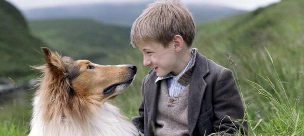 Najlepsze filmy o zwierzętach dla dzieci — 10. Lassie