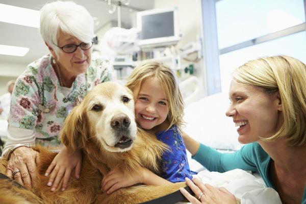 Terapie z psami dla dzieci autystycznych