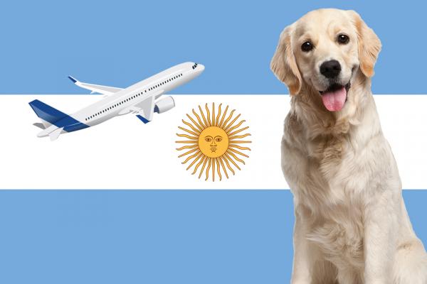 Wskazania do podrozy z psem do Argentyny