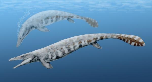Rodzaje Dinozaurów Morskich - Nazwy i Zdjęcia - Mozazaury