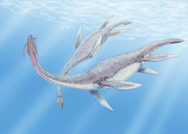 Rodzaje Dinozaurów Morskich - Nazwy i Zdjęcia - Plezjozaury