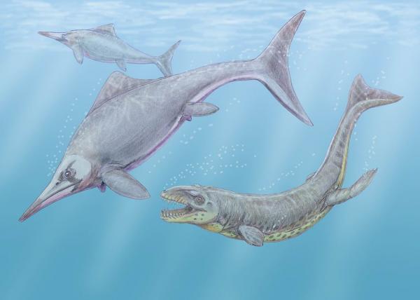 Rodzaje Dinozaurów Morskich - Nazwy i Zdjęcia - Ichtiozaury