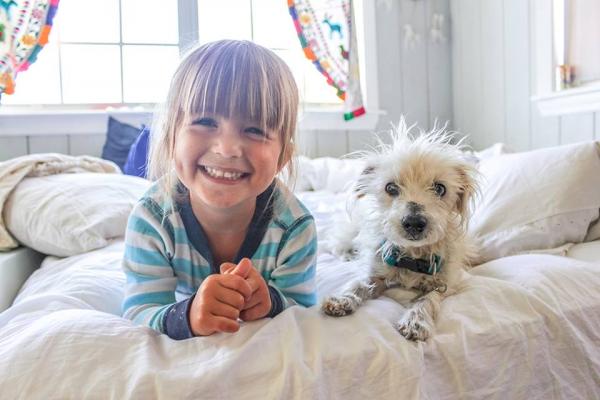 10 powodów, aby adoptować psa mieszańca - 1. Będziesz miał wyjątkowego psa