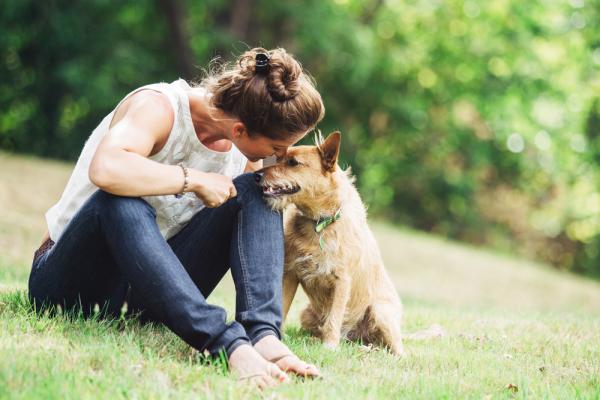 10 powodów, aby adoptować psa mieszańca - 6. Twój pies prawdopodobnie będzie zdrowszy i dłużej będzie żył