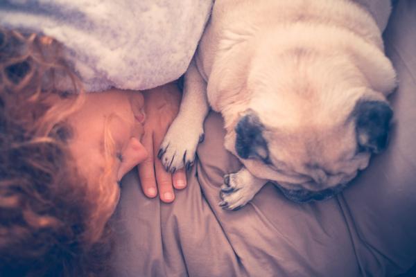 6 powodów, dla których Twój pies śpi z Tobą - 6. Pokazuje Ci swoją miłość